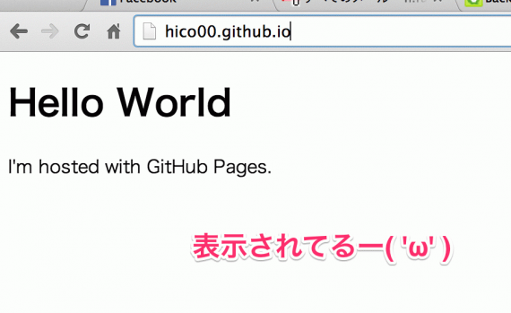 hico00_github_io.png